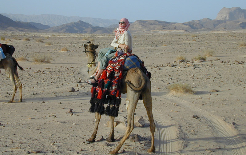 Auf der Kamel-Tour