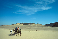 Sinai Wüste