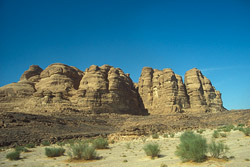 Sinai Desert